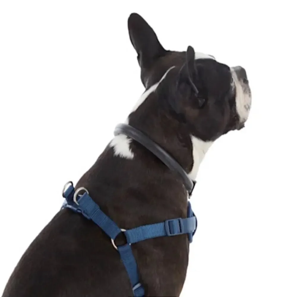 Good2Go Navy Padded Step-In Dog Harness
